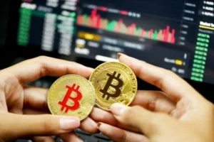 Which Cryptocurrency to Invest in 2021