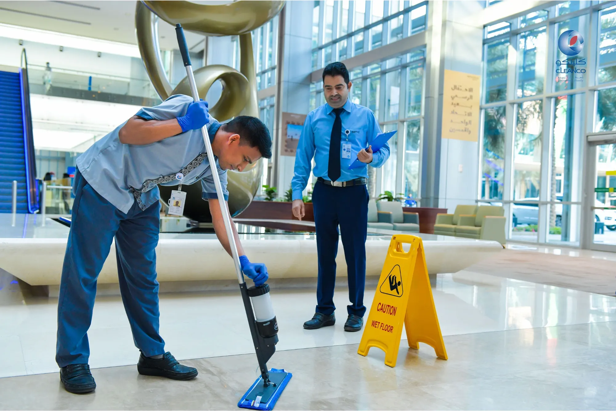 Professional Cleaning Services