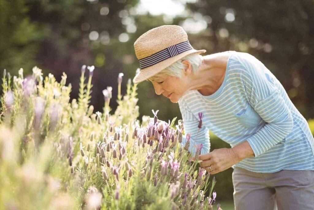 Top Ways to Dont and Improve Your Enjoy