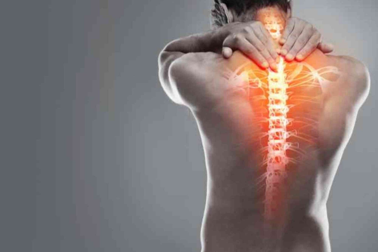 Beginner's Tips to columna for Better de