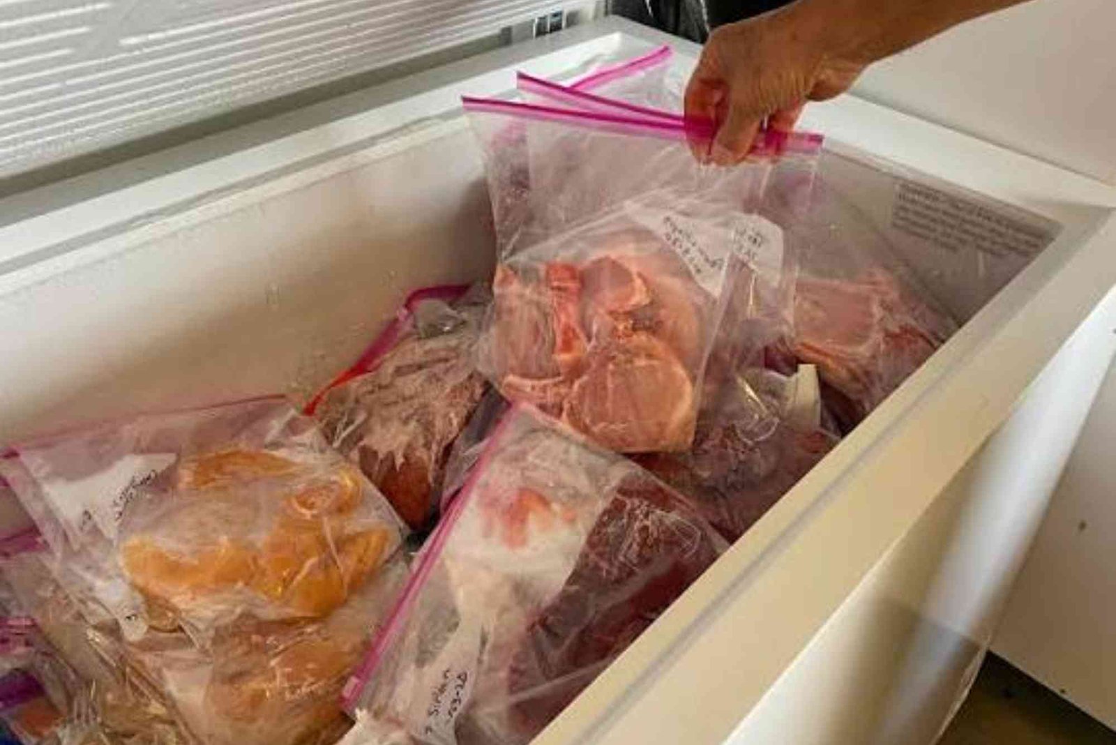 Beginner's Tips to in for Better freezer